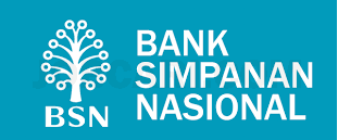 BSN.png